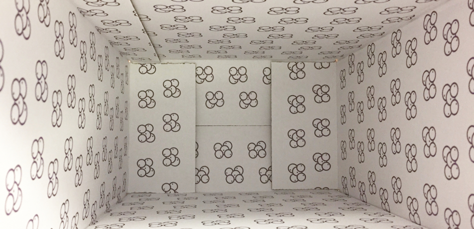 Printing inside a cardboard box 