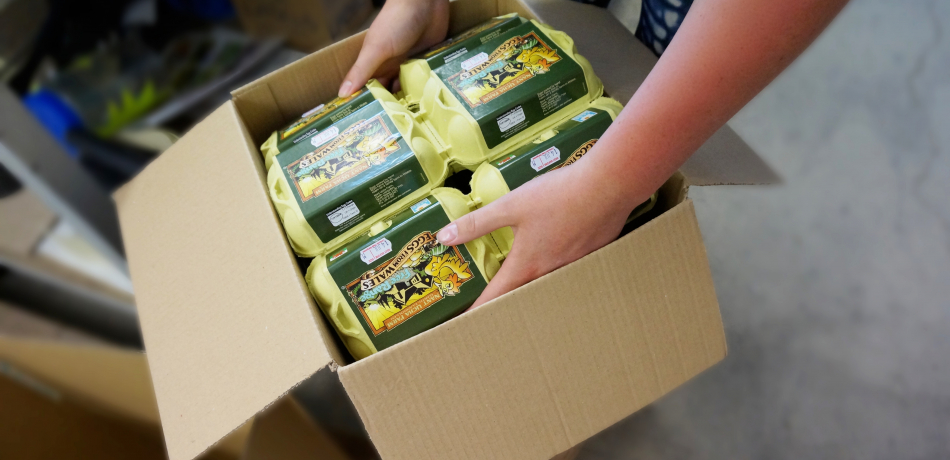 Do you need a packaging MOT?
