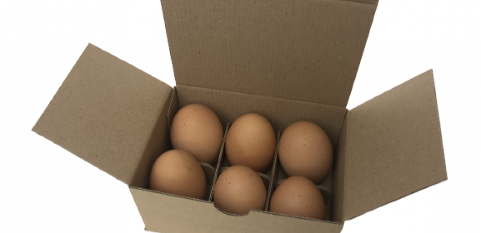 Cardboard_Egg-Boxes_Dairi-Pak