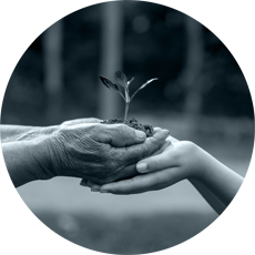 Environmental Responsibility