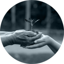 Environmentally_responsible_Dairi_Pak